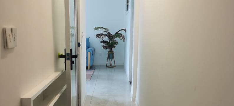 豆包是猫公寓(社会路分店)图片