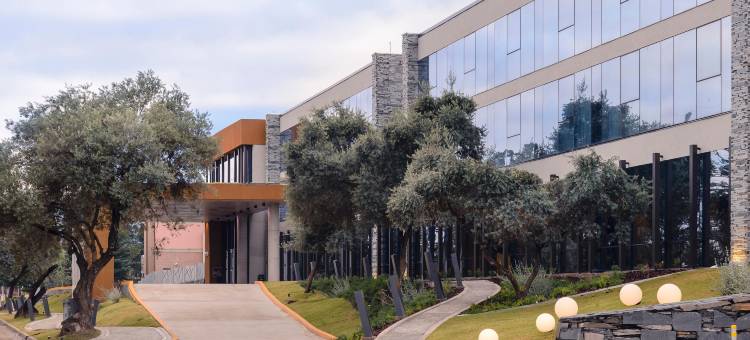 梅洛史诗别墅酒店(Epic Hotel Villa de Merlo)图片