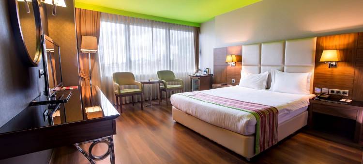 伊斯坦布尔亚洲卡瓦奇克丽柏酒店(Park Inn by Radisson Istanbul Asia Kavacik)图片