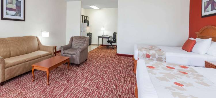 欧文DFW浩枫温德姆公寓(Hawthorn Suites by Wyndham Irving DFW South)图片