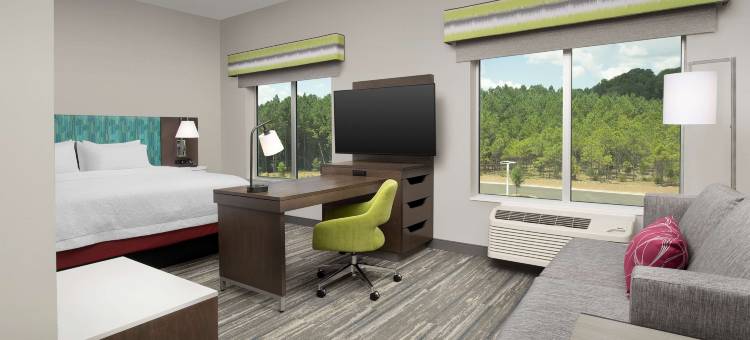 列克星敦哥伦比亚欢朋旅馆及套房(Hampton Inn and Suites by Hilton Lexington Columbia)图片