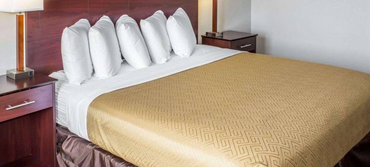 埃姆斯伊克诺旅馆(Econo Lodge)图片