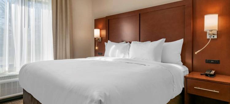 哈里斯堡西坎普希尔舒适套房酒店(Comfort Suites Camp Hill-Harrisburg West)图片
