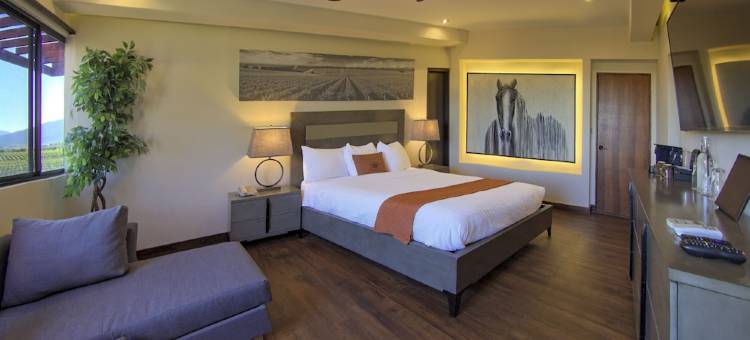 瓜达卢佩谷精品酒店和水疗中心(Hotel Boutique Valle de Guadalupe & Spa)图片