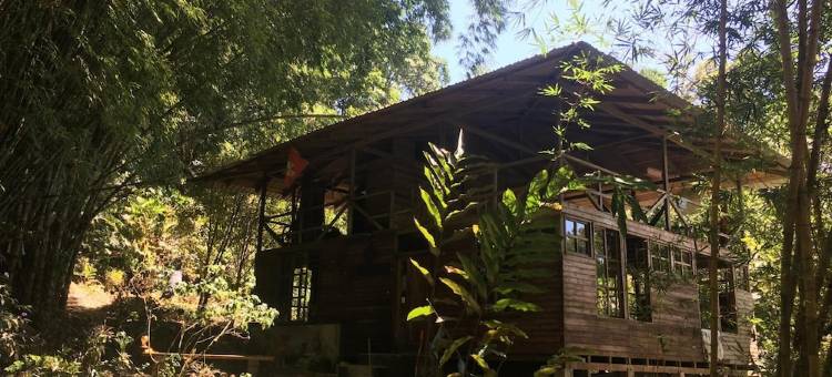 绿色足迹雨林旅馆(Huella Verde Rainforest Lodge)图片