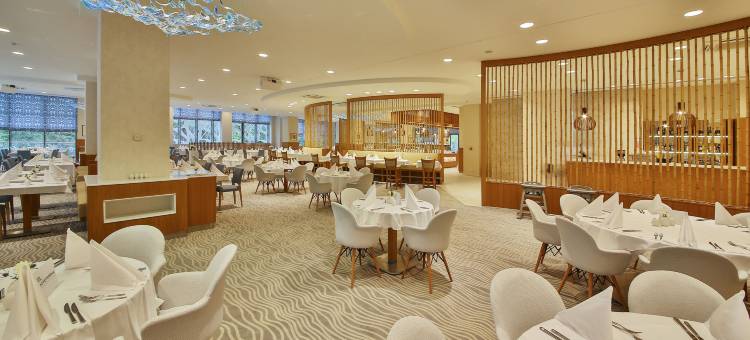 玛丽蒂姆天堂蓝酒店及水疗(Maritim Hotel Paradise Blue)图片