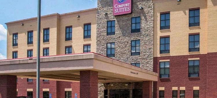 纳什维尔舒适套房酒店(Comfort Suites)图片