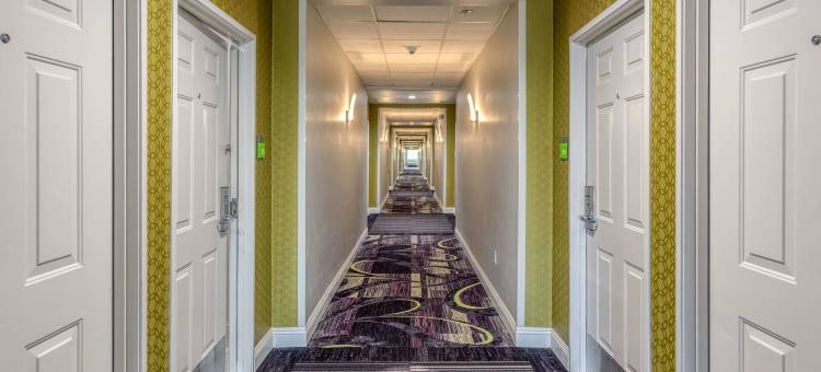 温德姆旗下拉昆塔温德姆酒店套房-维塞利亚/红杉树门户(La Quinta Inn & Suites by Wyndham Visalia/Sequoia Gateway)图片