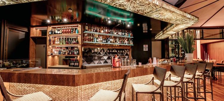 伊比拉普埃拉会议中心温德姆酒店(Wyndham Sao Paulo Ibirapuera Convention Plaza Hotel)图片