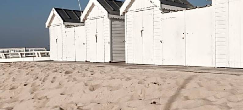 贝斯特韦斯特阿卡雄港酒店(Best Western Arcachon le Port)图片