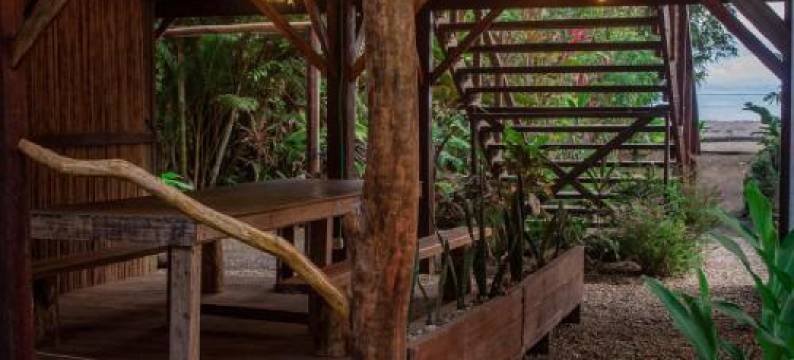 The Pelican House Hostel图片