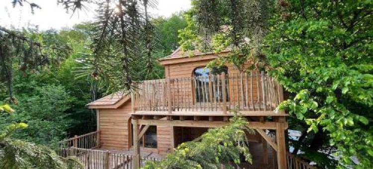 Le château des fées图片