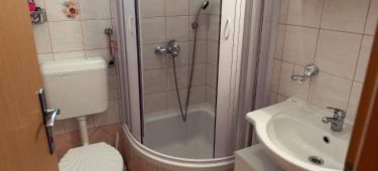 M. de Dominisa 5图片