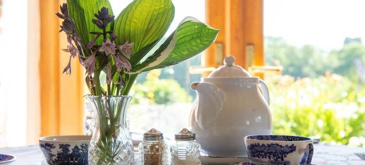 迪尼家庭旅馆(The Dinney B&B)图片