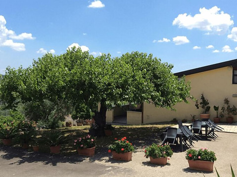 伊尔特拉佐苏西尼酒店