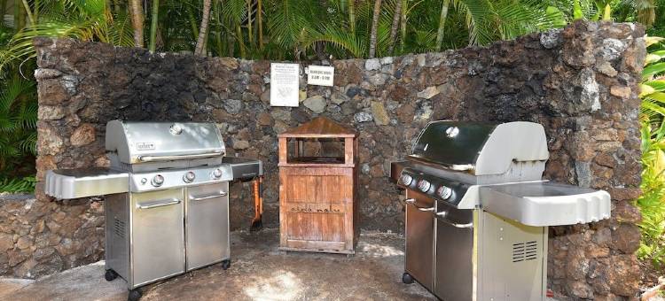 Aina Nalu A104图片