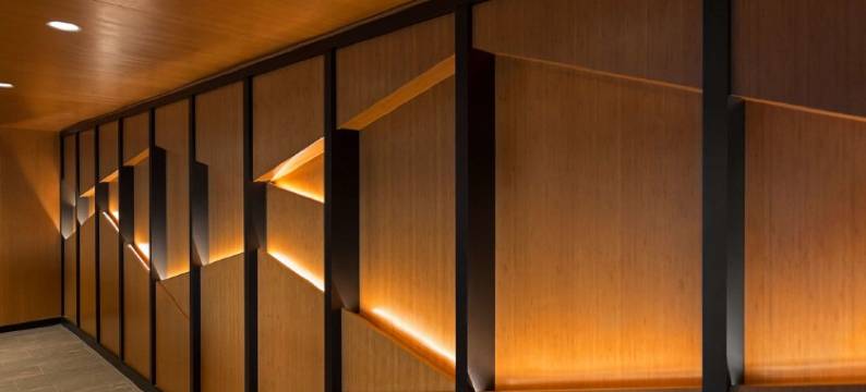 索内斯塔硅谷(Sonesta Silicon Valley)图片