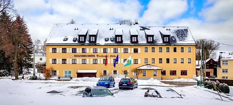 弗列柏格霍赫恩泽格比格斯酒店(Erzgebirgshotel Freiberger Höhe)图片