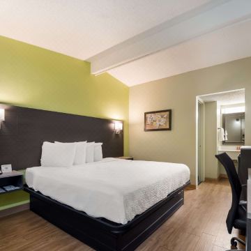 哥伦布市中心贝斯特韦斯特SureStay酒店(SureStay Hotel by Best Western Columbus Downtown)图片