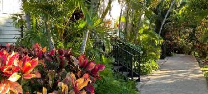 Ka Hale Kealoha图片