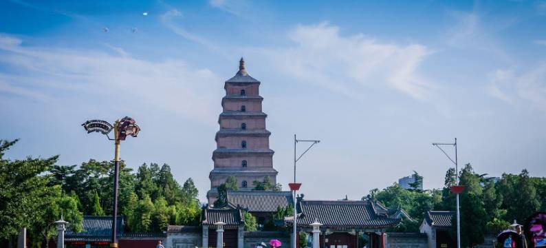西安兵马俑客栈(总店)图片