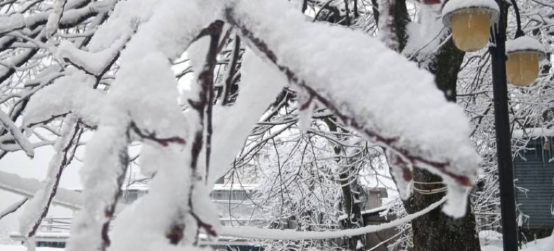 楠炉小憩公寓(柏树路分店)图片