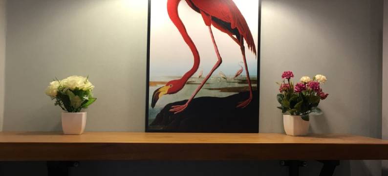 可儿poppy公寓(东昌路分店)图片