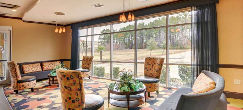 基尔戈舒适套房酒店(Comfort Suites Kilgore)图片