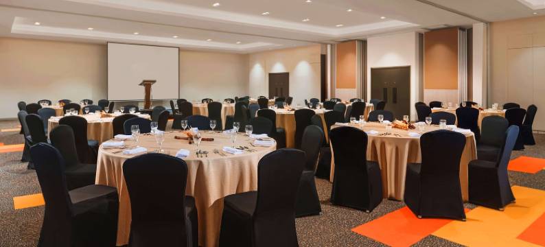 伊洛伊洛丽笙柏林酒店(Park Inn by Radisson Iloilo)图片