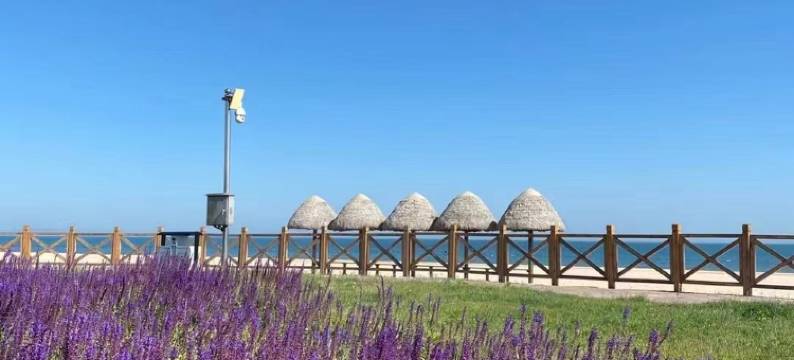 尤里卡海景那香海民宿(闻涛路2号分店)图片