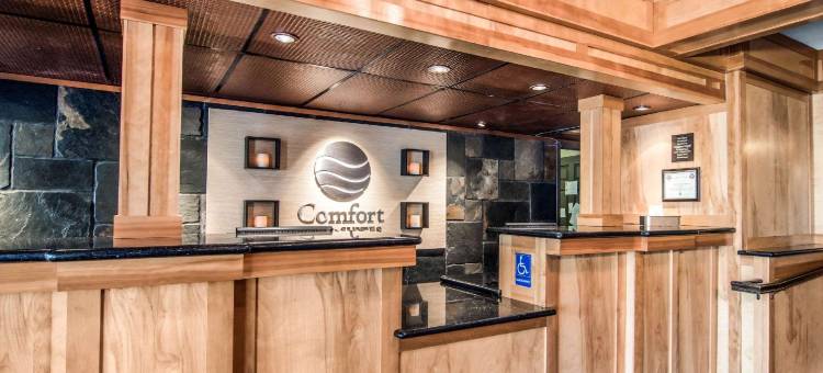 温馨酒店及套房温哥华市中心(Comfort Inn & Suites Vancouver Downtown City Center)图片