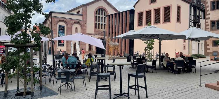 塞莱斯塔宜必思快捷酒店(Ibis Budget Sélestat)图片