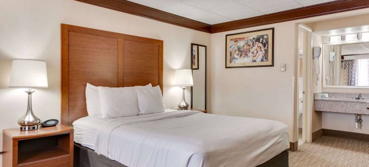 电影庄园贝斯特韦斯特酒店(Best Western Movie Manor)图片