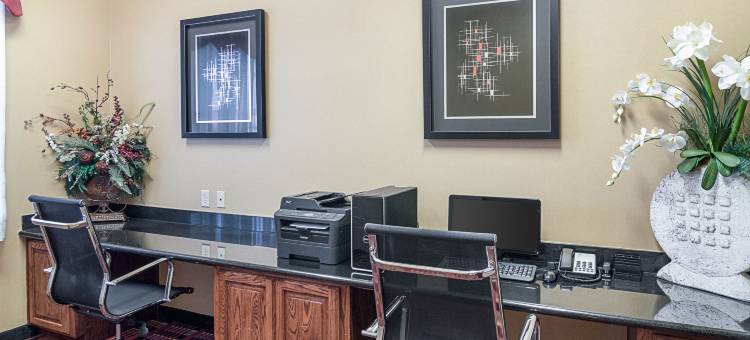 蒙那汉斯 I-20 舒适套房酒店(Comfort Inn & Suites Monahans I-20)图片