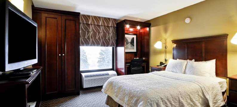 底特律-麦迪逊高地-南特洛伊欢朋酒店(Hampton Inn Detroit/Madison Heights/South Troy Area)图片