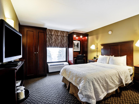 底特律-麦迪逊高地-南特洛伊欢朋酒店