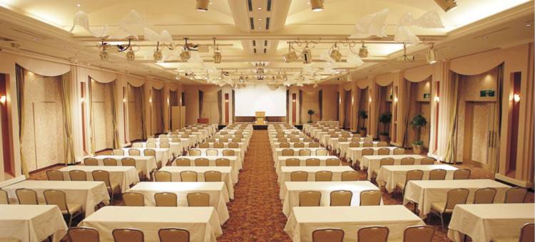 新阪急高知皇冠饭店 (旧高知新阪急酒店)(The Crown Palais New Hankyu Kochi)图片