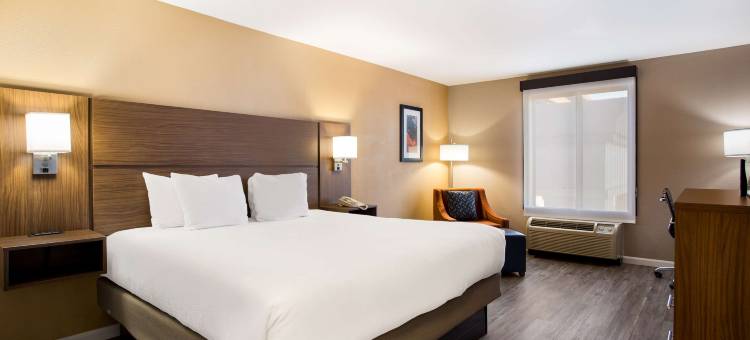 贝斯特韦斯特盖洛普西酒店(Best Western Gallup West)图片