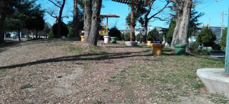 山本民博(Minpaku Yamamoto)图片