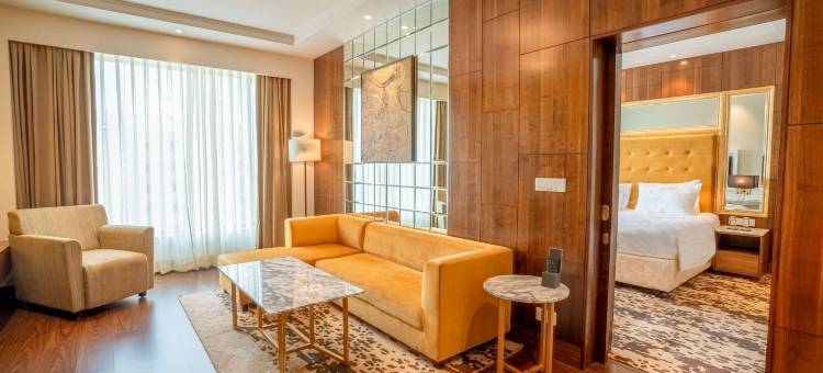 浦那辛吉瓦蒂丽笙酒店(Radisson Blu Pune Hinjawadi)图片