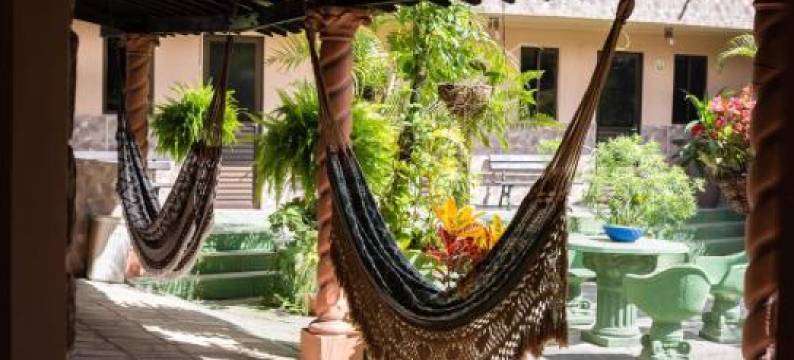 Pousada Encontro Das Flores图片