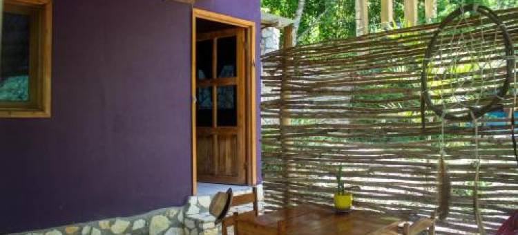 Alice Guesthouse图片