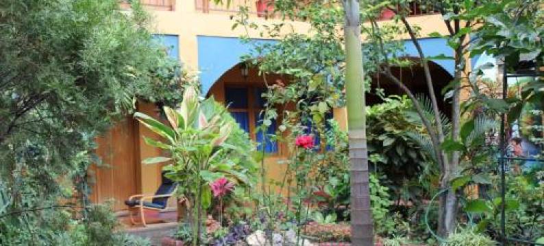 Hotel Los Arcos图片