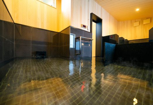 Super Hotel Fuji Inter Hotel Overview