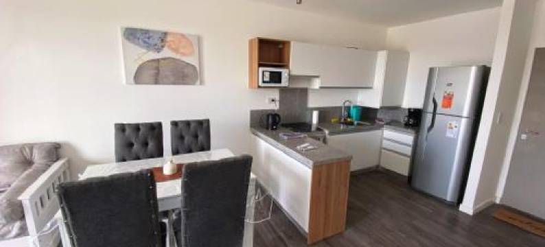 Departamentos Premium - Boero Rentals图片