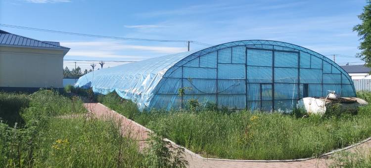 清风小栈鄂温克店民宿(索伦大街分店)图片