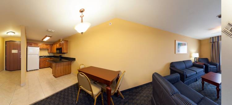 洲际智选假日酒店及套房科珀斯克里斯蒂西北 - 卡拉伦(Holiday Inn Express & Suites Corpus Christi NW - Calallen)图片