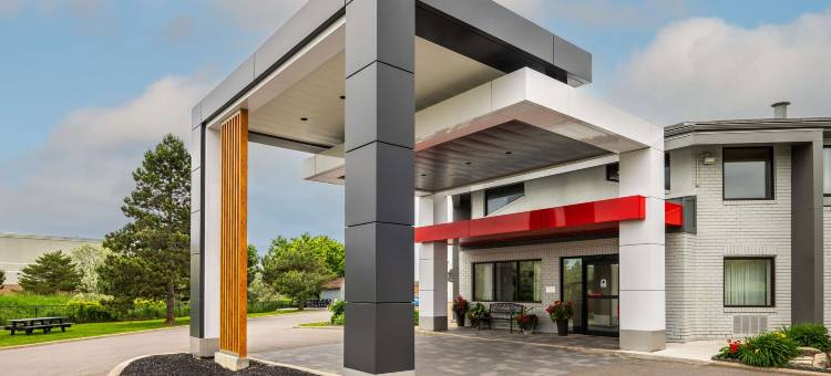 舒适酒店(Comfort Inn)图片