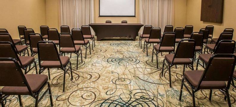 康福特套房辛普森维尔 - 格林维尔(Comfort Suites Simpsonville - Greenville)图片