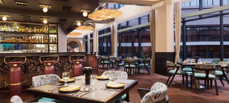 诺富特加尔各达 - 酒店和公寓(Novotel Kolkata - Hotel & Residences)图片